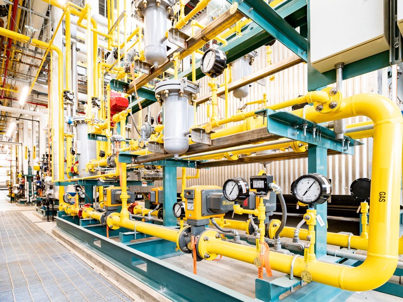 WhatsApp Image 2025 01 16 at 8.59.08 PM